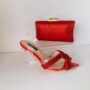 ENSEMBLE CHAUSSURE ET POCHETTE  #012
