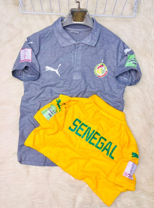 GENERIC LACOSTE Sénégal 2022 – Image 3