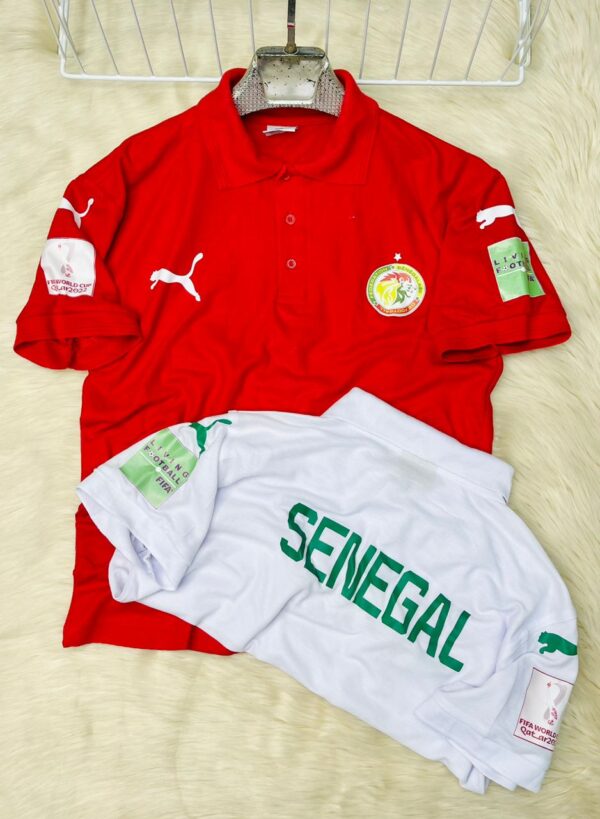 GENERIC LACOSTE Sénégal 2022 – Image 4